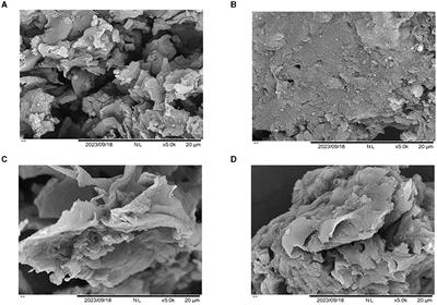 Removal of chromate in aqueous solutions by termite nests and reduction chromate accumulation in Brassica chinensis L.